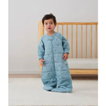 Load image into Gallery viewer, ErgoPouch Sleep Suit Bag Dragonflies 2-4 Y