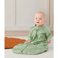Load image into Gallery viewer, ErgoPouch Sleep Suit Bag Willow 8-24M