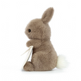 Load image into Gallery viewer, JELLYCAT MESSENGER BUNNY