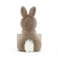 Load image into Gallery viewer, JELLYCAT MESSENGER BUNNY
