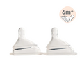 Load image into Gallery viewer, Hegen Teat Fast Flow, 2-Pack (6 Months +)
