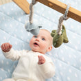 Load image into Gallery viewer, Living Textiles 2pk Stroller Toy