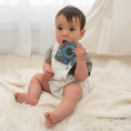 Load image into Gallery viewer, PLAYGROUND Silicone Splash Teether