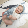 Load image into Gallery viewer, Play Mat with Milestone Cards - Oceania
