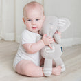 Load image into Gallery viewer, Eli the Elephant Knitted toy