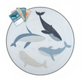 Load image into Gallery viewer, Play Mat with Milestone Cards - Oceania