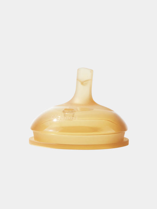 Thyseed Learner Cup Spout