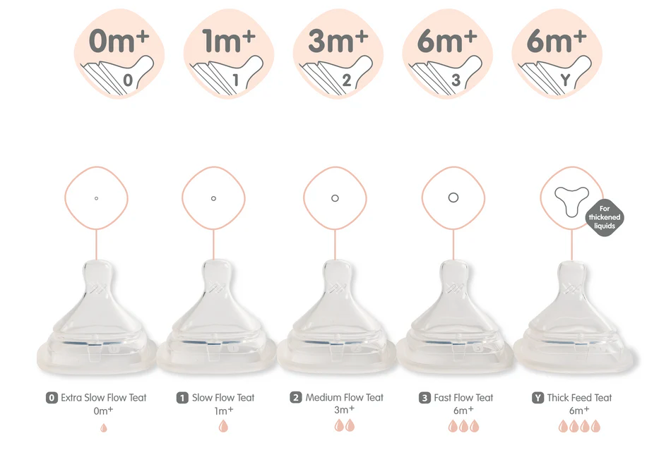 Hegen Teat Medium Flow, 2-Pack (3 to 6 Months)