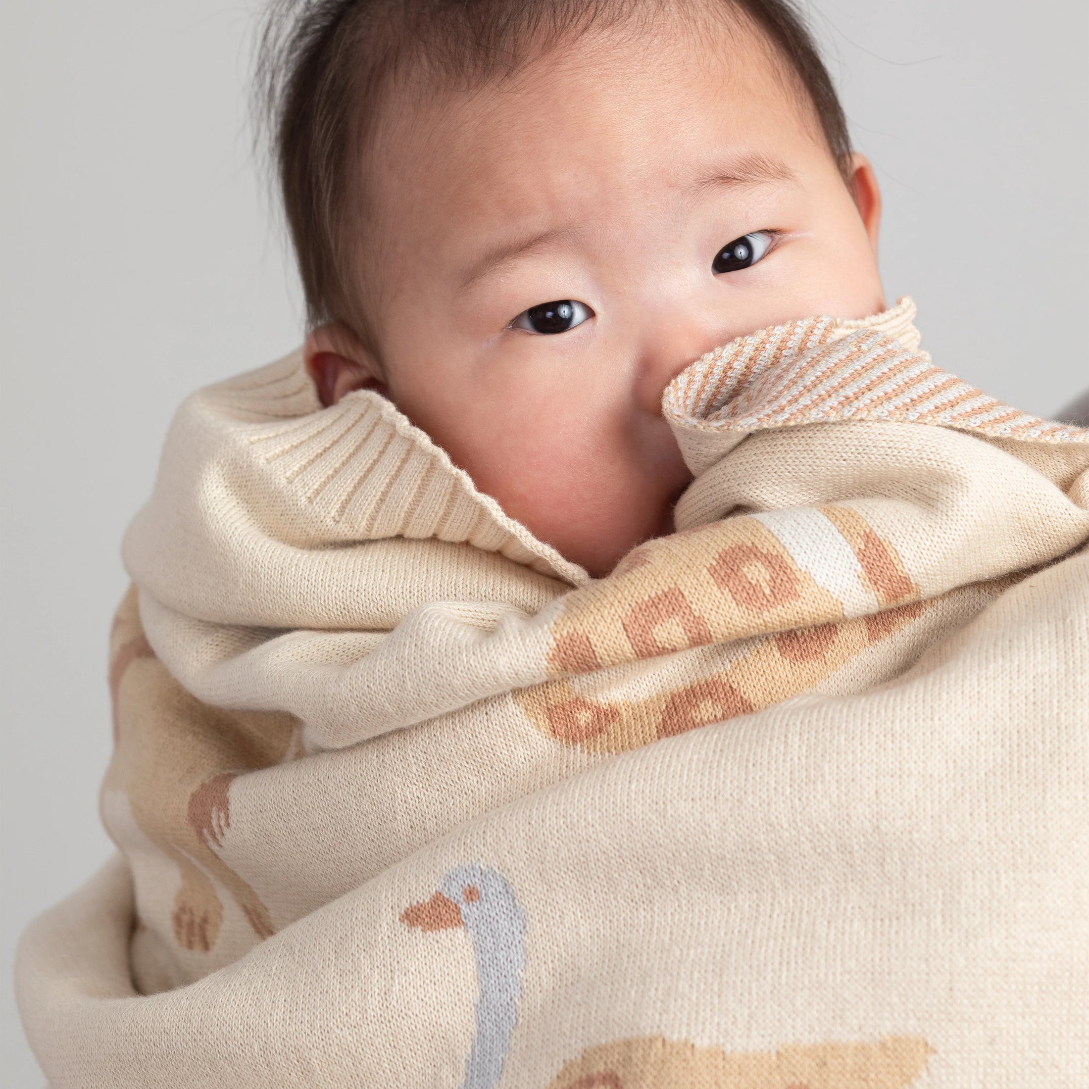 Living Textiles Jacquard Blanket