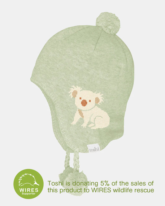 Toshi earmuff storytime koa
