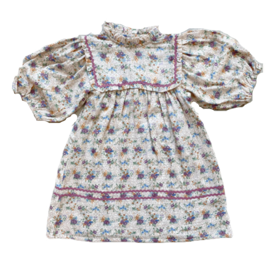 Bebe Organic Laura dress 3/4 sleeve 2Y