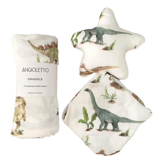2 Pack Baby Boy Gift Dino