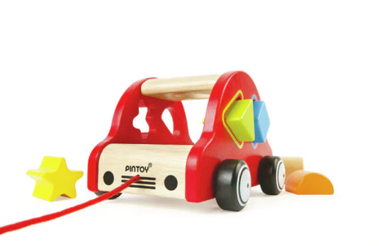Happy Car Sorter Pin Toy