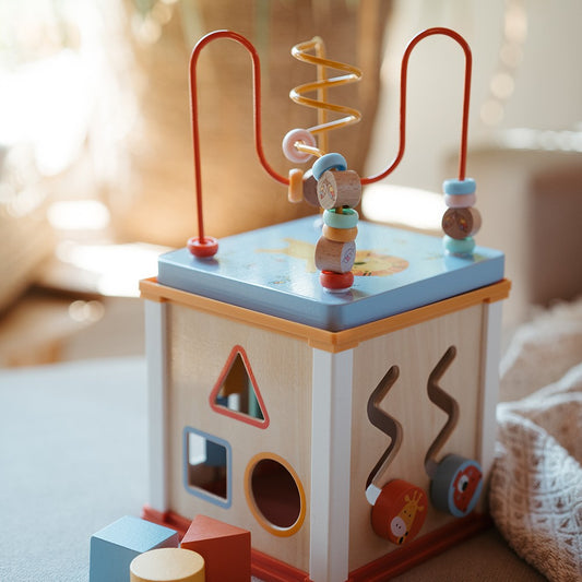 Eurekakids Wild Activity Cube