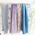Load image into Gallery viewer, Double-Sided Baby Blankets
